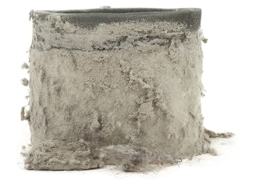 How To Clean The Dirt ContainerCanister And Plastic Filters